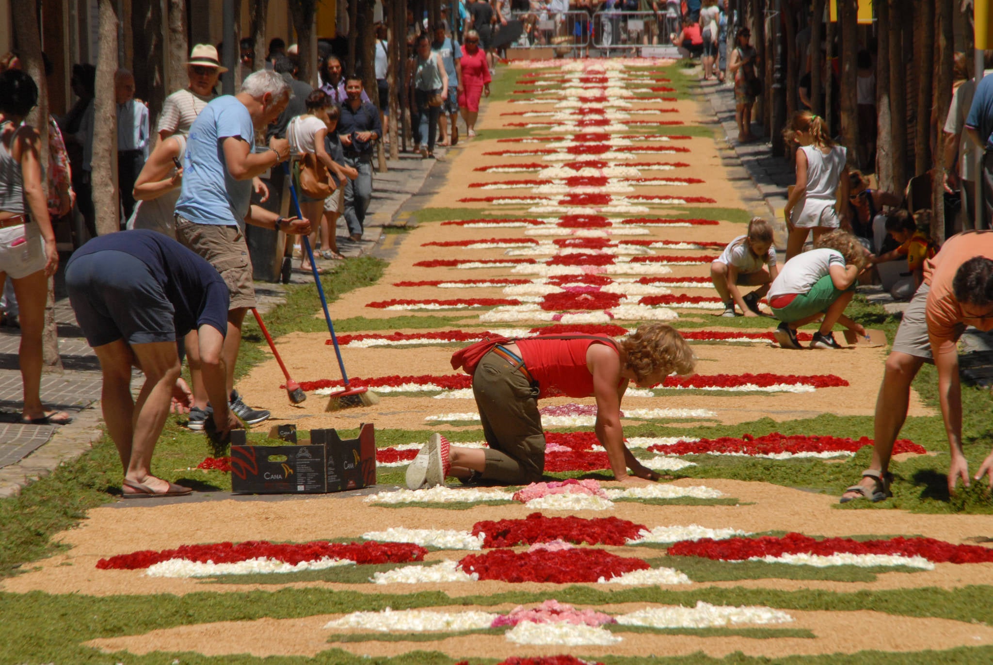 Confecció d'una catifa floral en el Corpus de Sitges