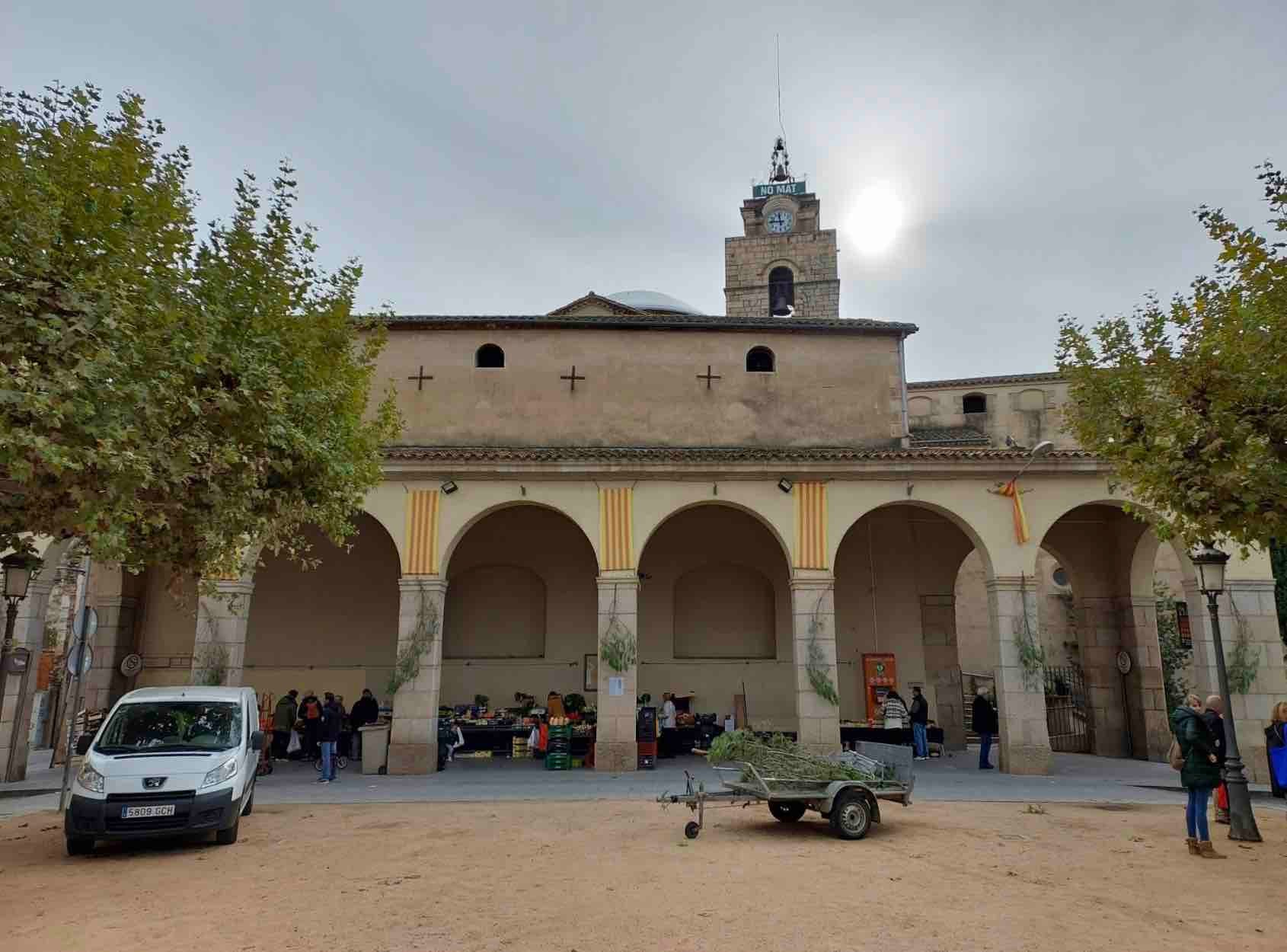 La tradició vinatera de penjar a les cases una branca de pi es va perdre als anys seixanta