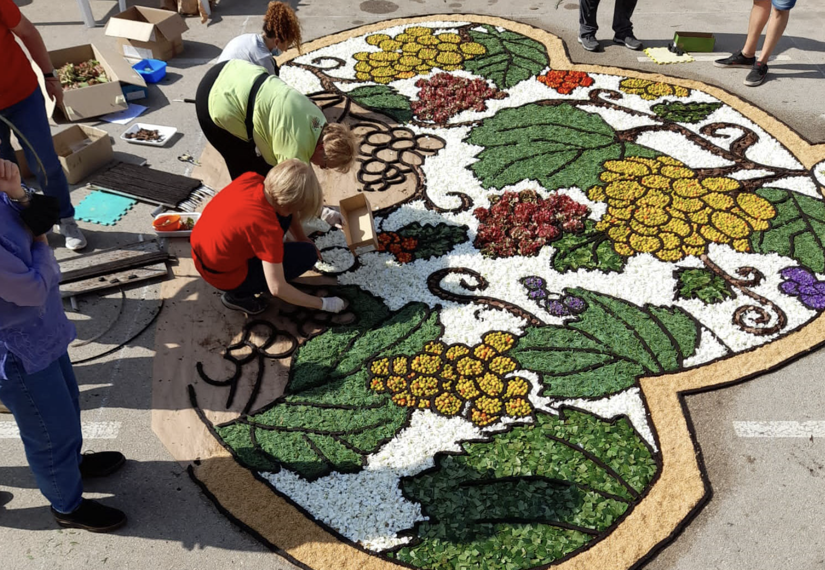 La Federació Catalana d’Entitats Catifaires lidera el projecte Flower Carpets Art, que ha rebut una subvenció de la Comissió Europea 
