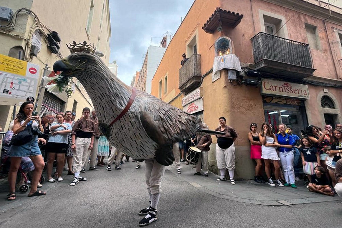 L'Àliga de Gràcia celebra cinc anys / Foto: Associació l’Àliga de Gràcia 