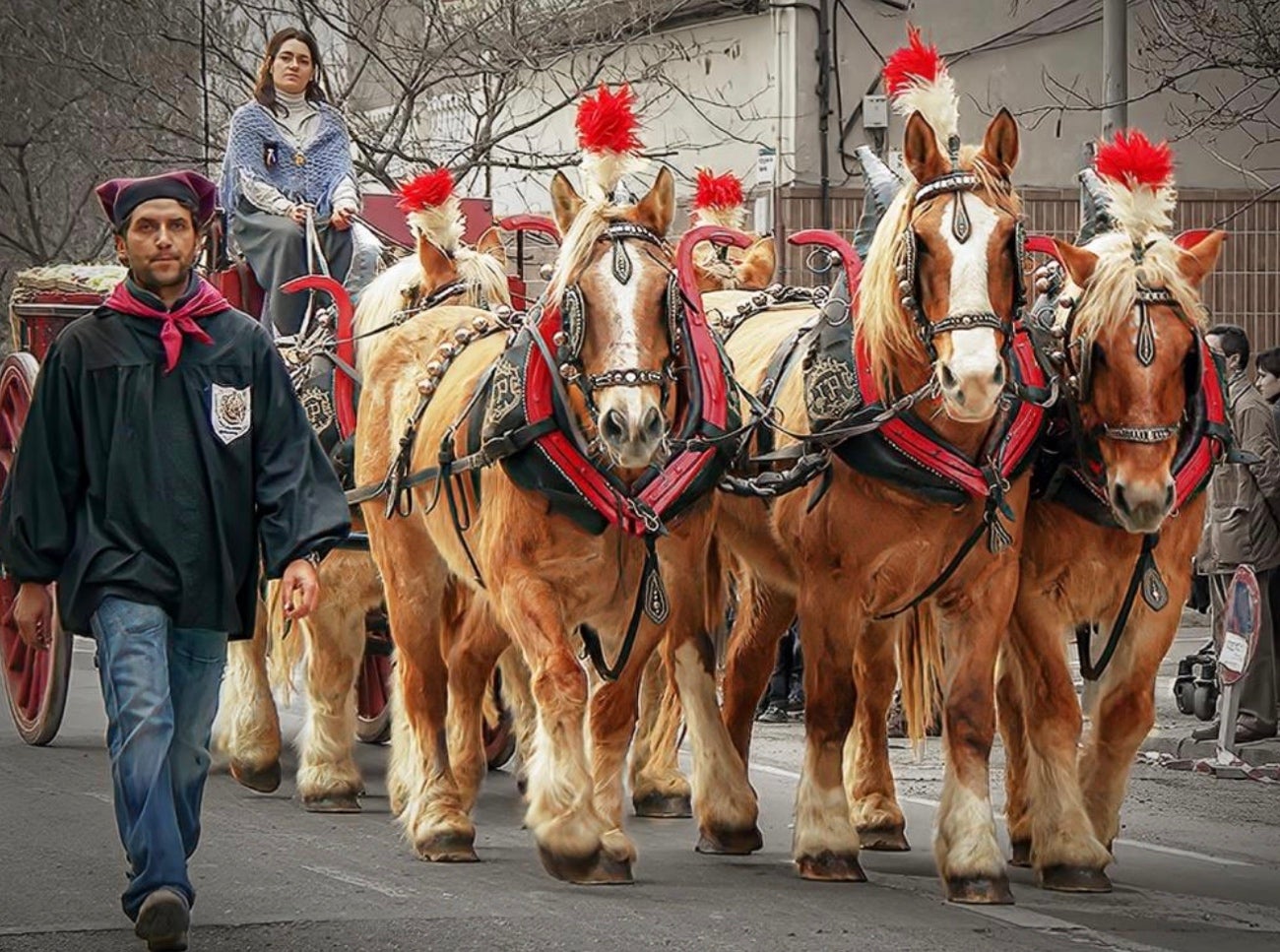 Una imatge dels Tres Tombs. FEDERACIÓ CATALANA DELS TRES TOMBS 