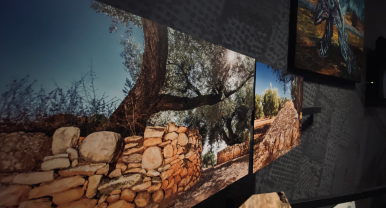 Mosta Dues pedres. Paisatges persistents, al Palau Robert fins al 2 de juny