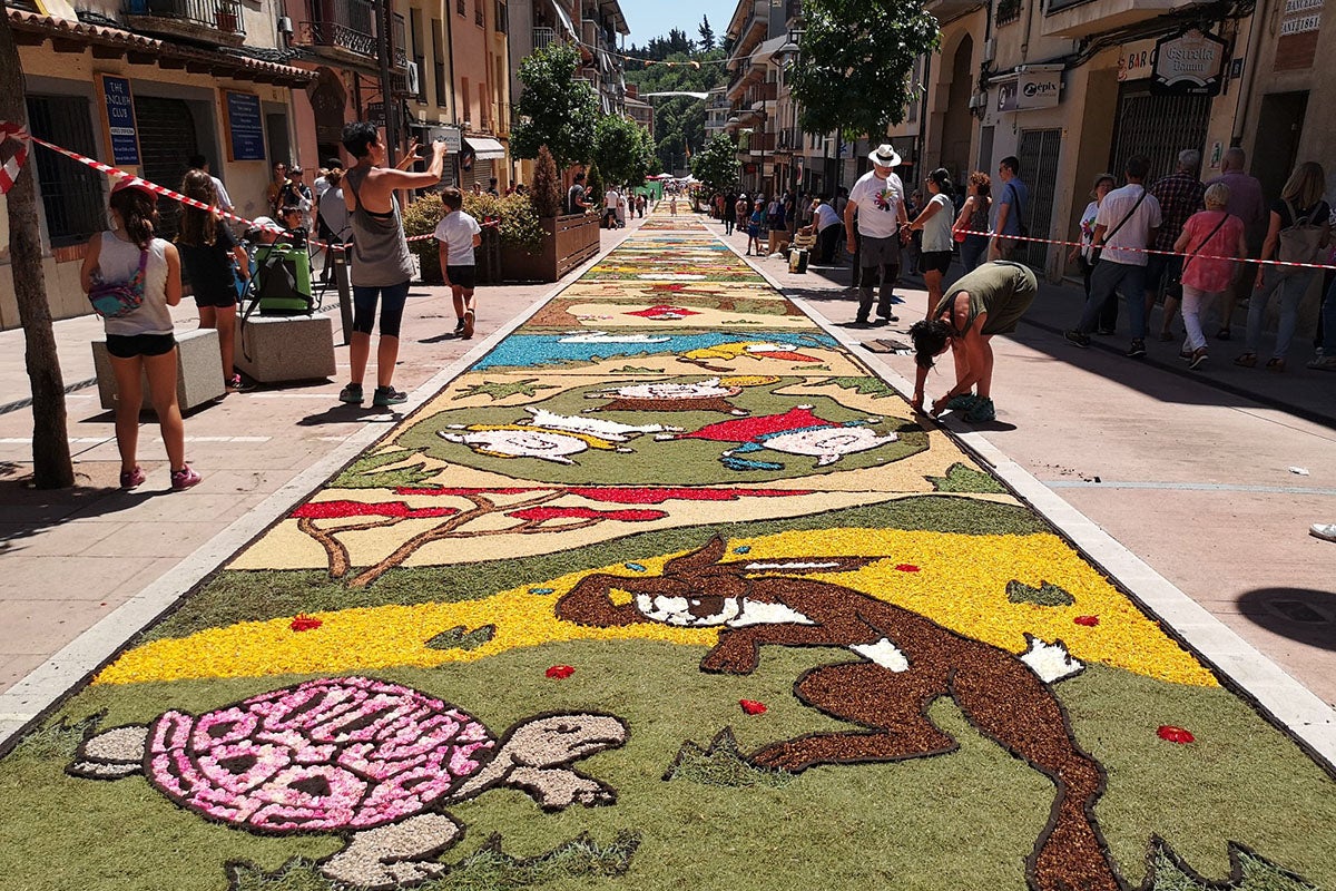 Concurs de Catifes de Flors Naturals