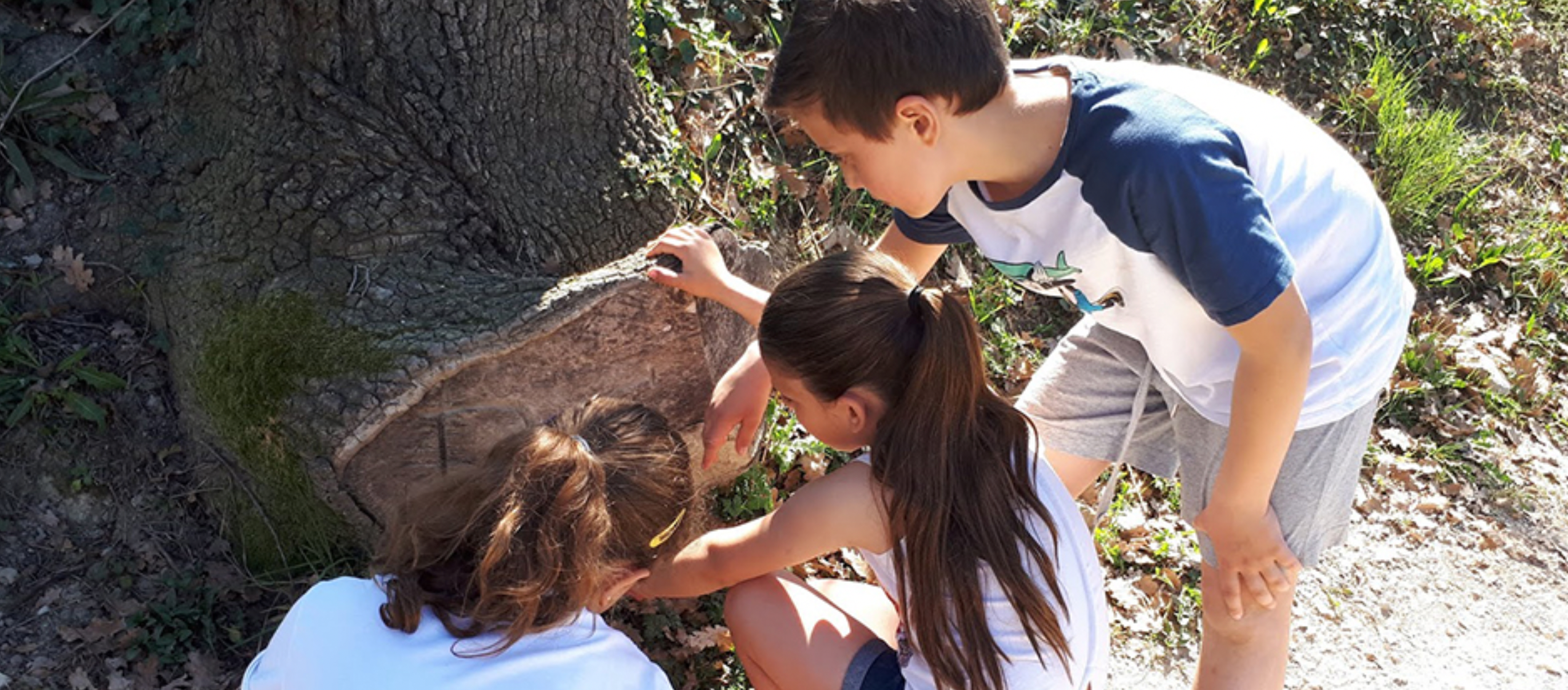 Els dies 18 i 19 d’octubre 2024 celebrarem la sisena edició del Festival d’Educació per la Sostenibilitat al Museu Terra de l’Espluga de Francolí.

