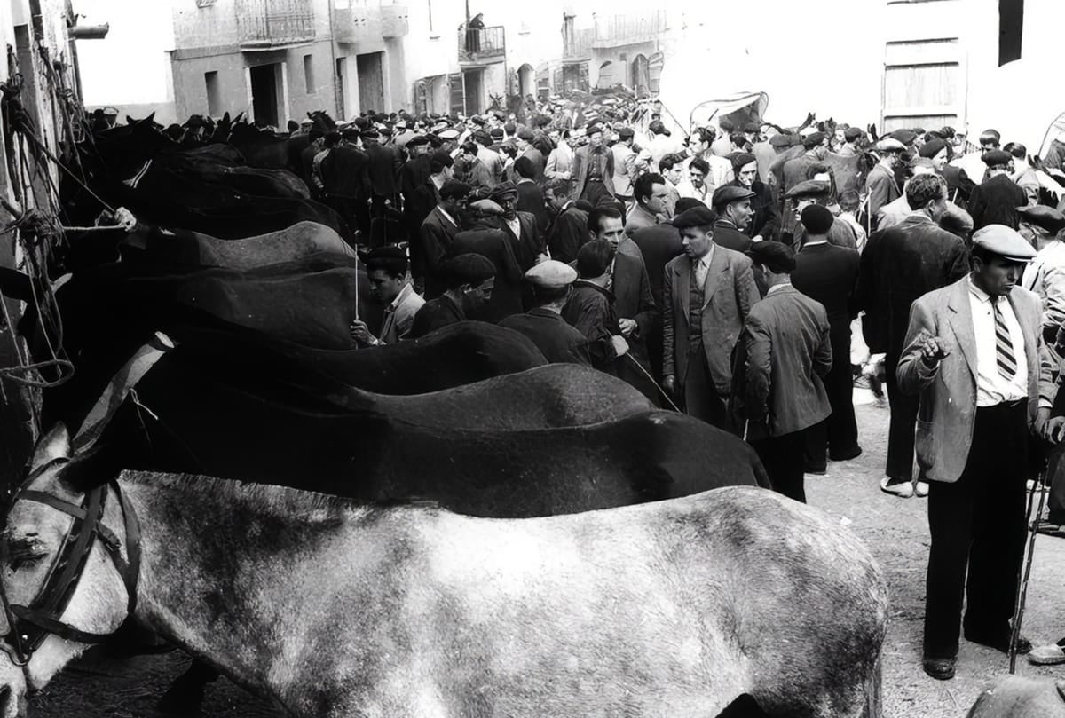 Imatge històrica de la Fira de Verdú | Associació Cultural Xercavins