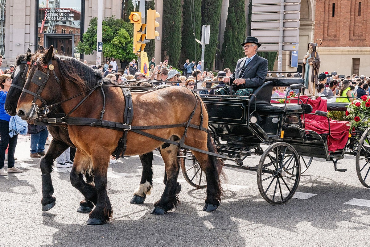 Trobada Nacional dels Tres Tombs 2025 / Foto: Pep Herrero i Federació Catalana dels Tres Tombs