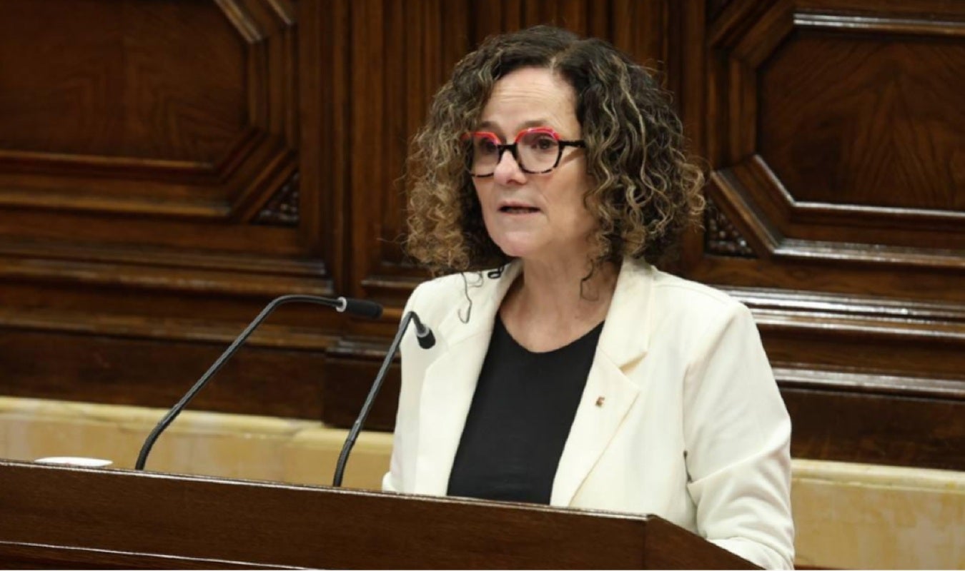 Sònia Hernández, consellera de Cultura 