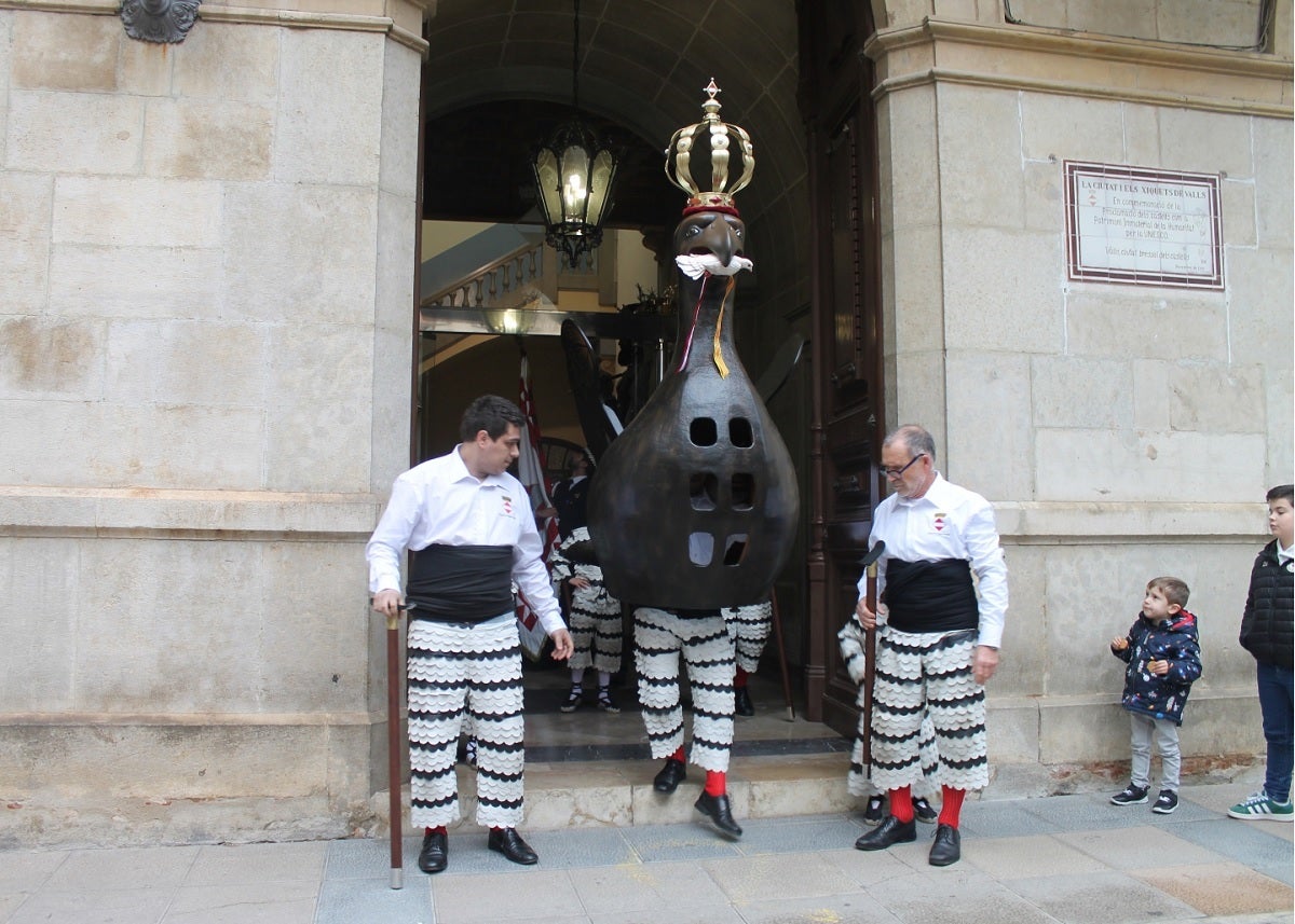 La nova àguila de Valls | Ajuntament de Valls
